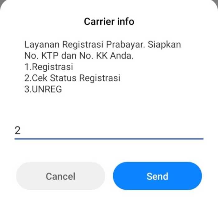 Kartu telkomsel cek registrasi katadata