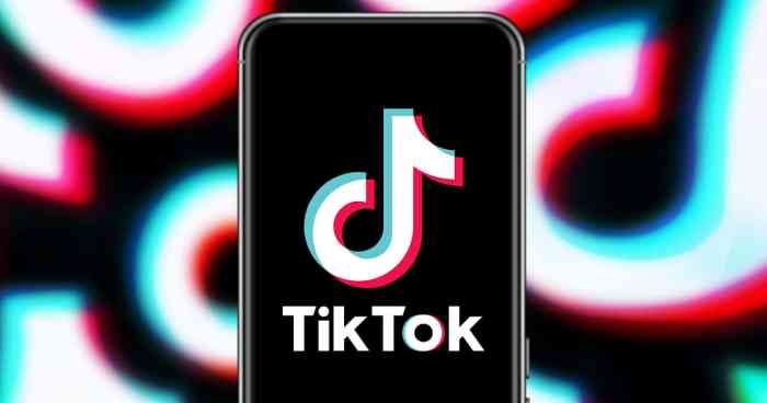 Cara download video tiktok tanpa watermark online