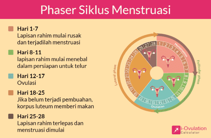 Subur wanita menghitung haid tanggal kapan kesuburan menentukan benar ovulasi kala puncak desember oktober