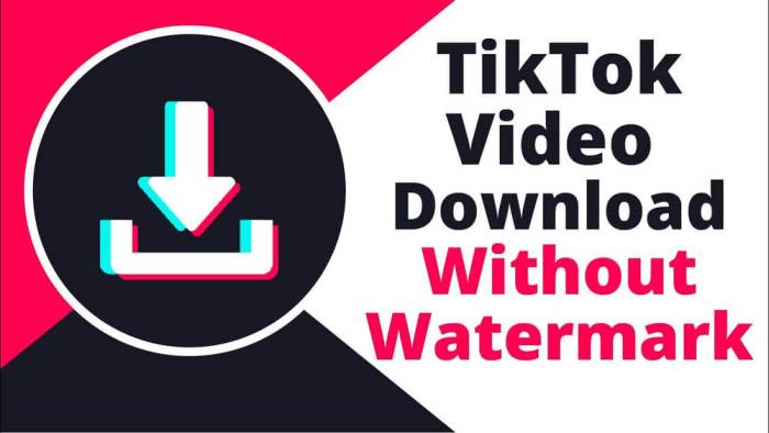 Cara download video tiktok tanpa watermark online