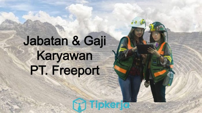 Freeport karyawan indonesia gaji jabatan dita