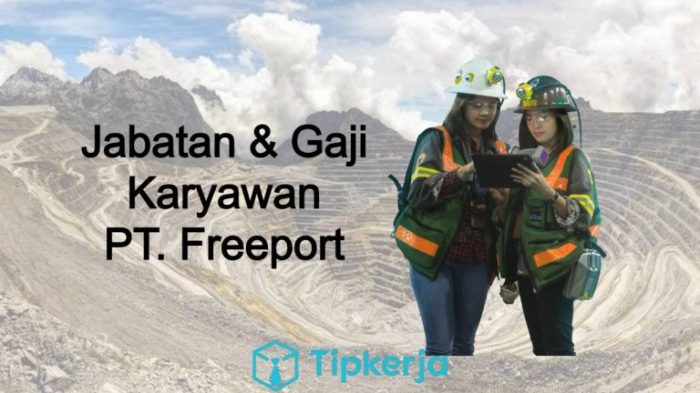 Freeport karyawan gaji jabatan dita