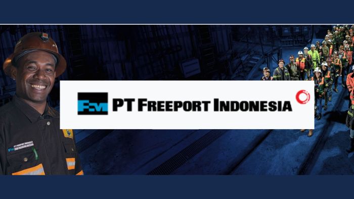 Prosedur pendaftaran pt freeport