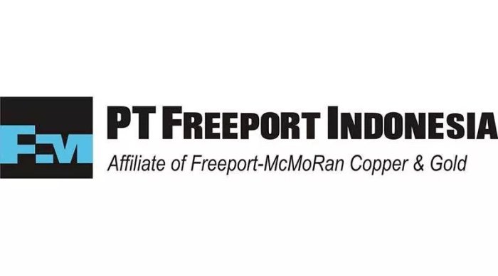 Freeport pengalaman fgp