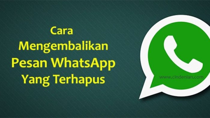 Cara terhapus mengembalikan aplikasi tanpa pilihan jalantikus