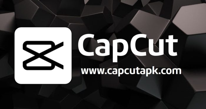 Capcut apk stickers mozzec adding